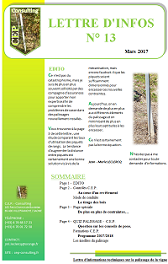 Lettre n°13 - informations techniques sur le palissage de CEP Consulting
