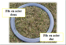 Etude palissage sur les fils de palissage