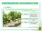 Les objectifs du palissage