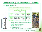 Palissage les caractéristiques des tuteurs