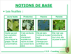 la surface foliaire et la SECV