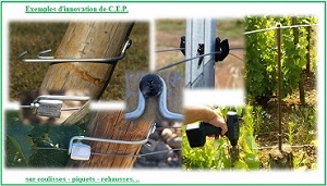 innovation CEP