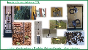 perfectionnement CEP